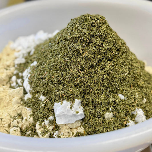 FRÜHLINGSERWACHEN: Warum jetzt die beste Zeit für Schnittlauch und Zell-Frühjahrsputz ist 🌱✨