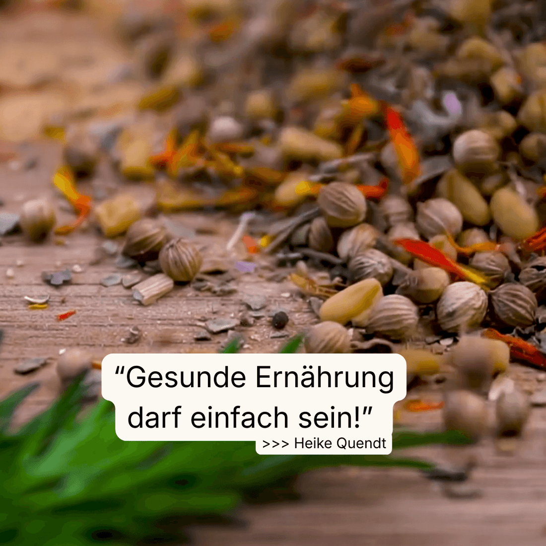 Warum die meisten Ernährungspläne scheitern – und was wirklich langfristig hilft