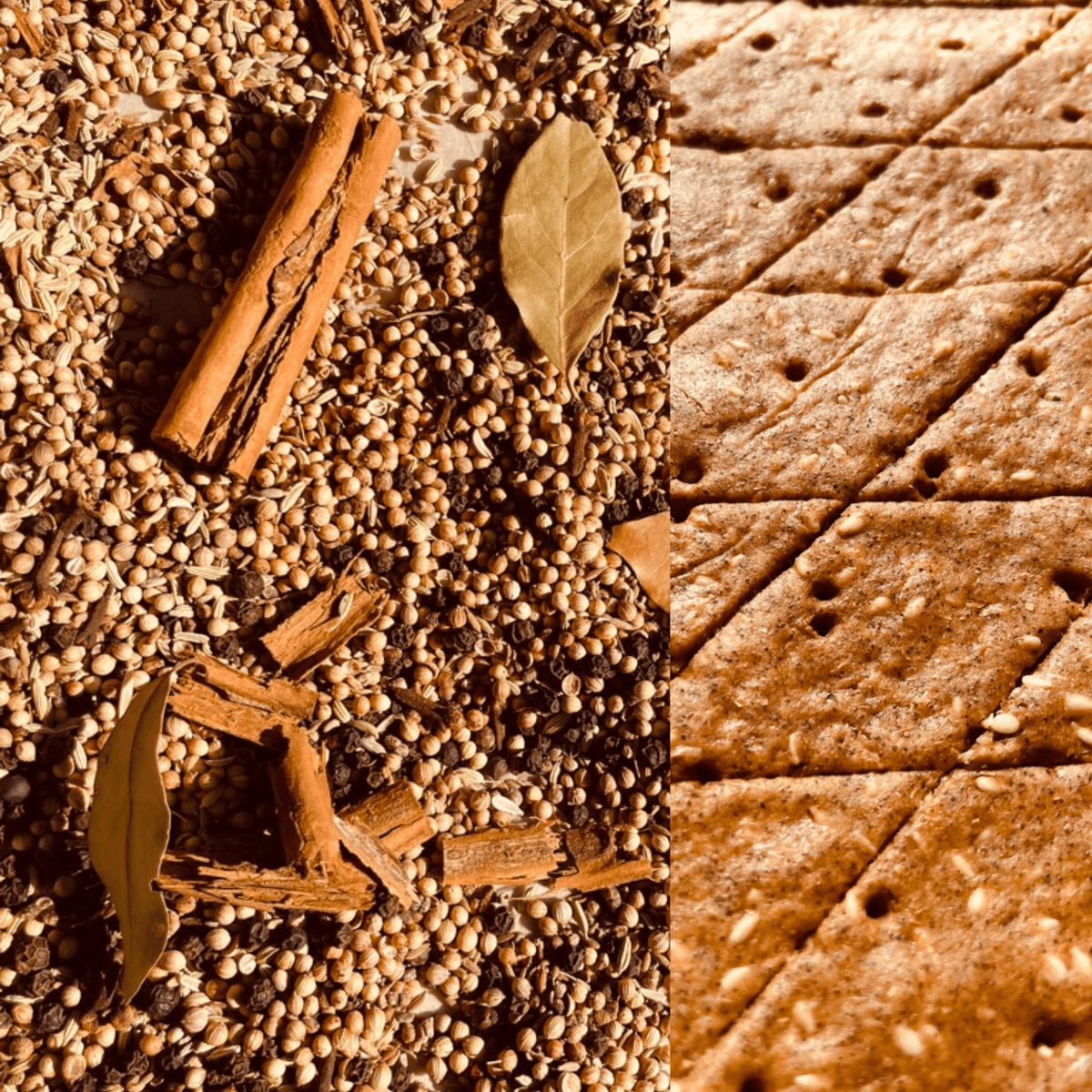Handgefertigte No.2 CRECA Garam Masala Bio-Cracker von QiO Food, kunstvoll angerichtet mit ganzen Zimtstangen, Lorbeerblättern und Koriandersamen – Symbol für Zell-Energie und reine biochemische Genuss-Information.