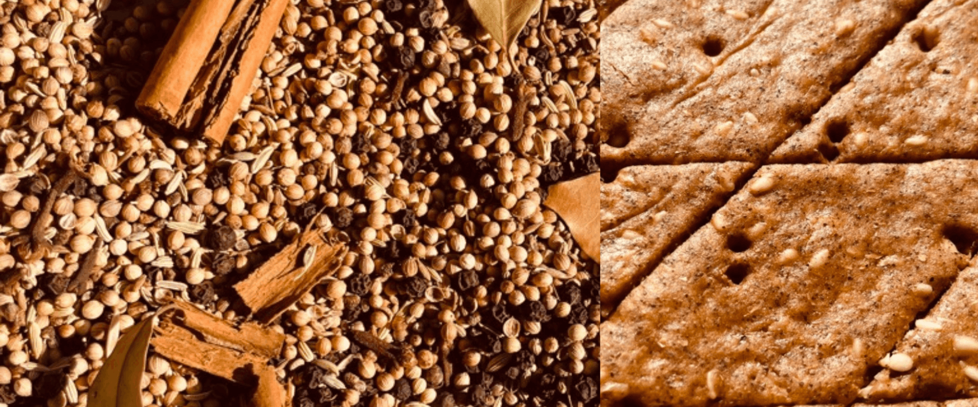 Handgefertigte No.2 CRECA Garam Masala Bio-Cracker von QiO Food, kunstvoll angerichtet mit ganzen Zimtstangen, Lorbeerblättern und Koriandersamen – Symbol für Zell-Energie und reine biochemische Genuss-Information.