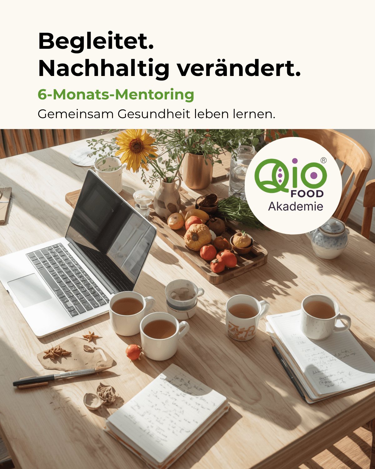 6-Monats-Mentoring der Qio-Food Akademie für Menschen, die ihre Ernährung nachhaltig verändern möchten.